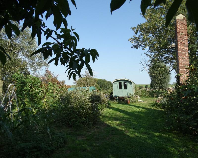 20250406_115504_nat-rn-terrain-305_photo_Vue vers le fond du jardin en été.jpg